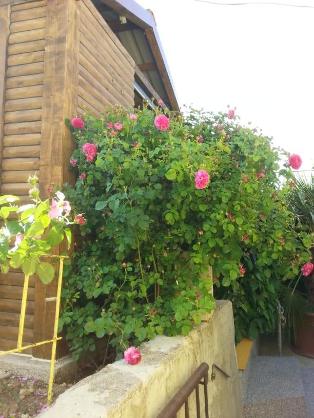 Apartments Toni With Free Parking Kastela Exterior photo
